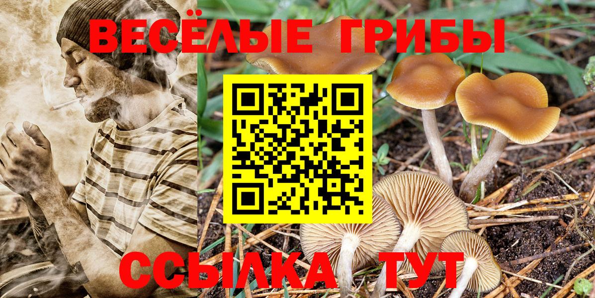 Таганрог  Псилоцибиновые грибы прущие грибы  Псилоцибиновые грибы Magic Shrooms  Вход с VPN 