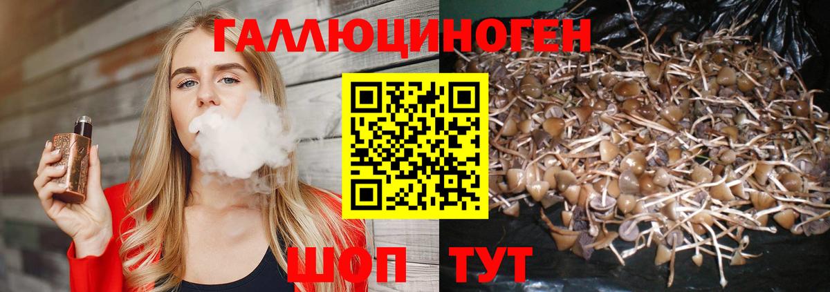 Галлюциногенные грибы Cubensis Таганрог